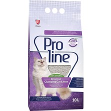 Storemax Uslucanmarketplace Proline Doğal Topaklanan Ince Taneli Lavanta Kokulu Kedi Kumu 10 Lt