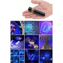 Toyfest Mini LED Uv Mor Işık El Feneri USB Şarjlı Parazit Akar Toz Gösteren Oje Kurutucu Para Kontol Cihazı