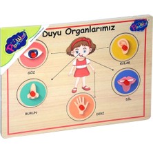 Ne Verelim Size Buğz 166/167 Onyıl, Ahşap Tutmalı Organlar
