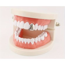 Özbience 14K Altın Kaplama Klasik Single Grillz Diş Taşı, Şık ve Parlak Tasarım