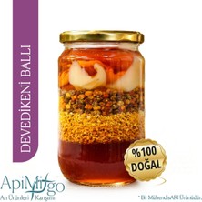 Devedikeni Ballı Karışım - 1000 gr