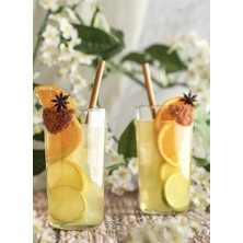 Lav Assos Meşrubat Bardağı 490 ml 6'lı