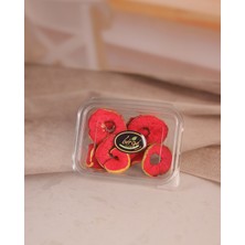 Birgi Köy Evi Pancarlı Kurutulmuş Elma Dilimleri (50 Gr)