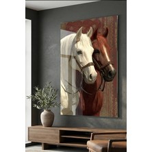 Ahsen resim çerçeve Kırılmaz Cam Tablo 5mm (Kalın) - Ev Işyeri Duvar Dekorasyonu – Ikili At (Dikey)