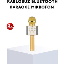 Zero Land Hnrlishp Karaoke Mikrofonu Bluetooth USB Aux Girişli Yankı Efektli