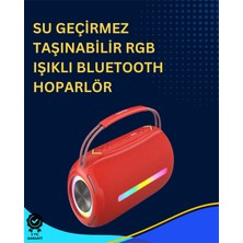Daniska Usb/sd/aux Girişli Hoparlör – 10 W × 2 Çift Sürücü
