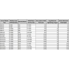 Aesco Gömlekli Çelik Dubel M10X110 ( 5 Adet)