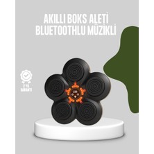 Zero Land Hnrlishp Akıllı Müzikli Boks Makinesi Bluetooth Bağlantılı Işıklı Hedefli Fitness Aleti