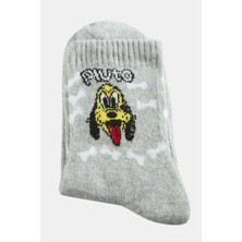 SiHako Köpek Kolej Çorap 8*28