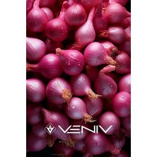 Veniv 90 Adet Mor Soğan Tohumu