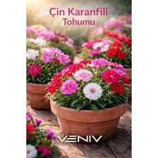 Veniv 20 Adet Çin Karanfili Tohumu