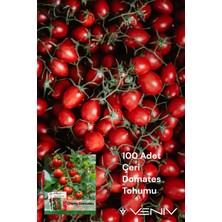 Veniv 100 Adet Çeri Domates Tohumu 2 Paket