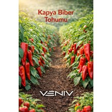 Veniv 40 Adet Kapya Biberi Tohumu