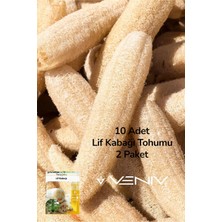 Veniv 10 Adet Kabak Lifi Tohumu 2 Paket