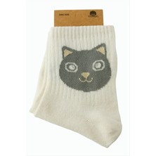 SiHako Kedi Kolej Çorap 8*28