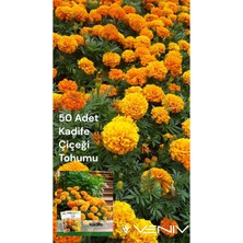 Veniv 50 Adet Kadife Çiçeği Tohumu 2 Paket