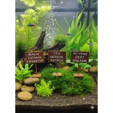 Akvaryumunuzun Enerjisini Değiştirin: Esprili 3’lü Mizah Tabelası Seti 7x5 cm