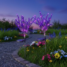 Gaman 2'li Güneş Enerjili LED Lavanta Bahçe Lambası - Dekoratif Solar Bahçe/balkon, Yol Dekoru