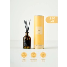 Bella Maison Çubuklu Oda Kokusu Citrus Aromasıyla 250 ml Siyah Cam Şişede Kalıcı Etki