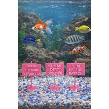 Akvaryum Dekoratif Pembe Tabela Seti - 3'lü Mizah Serisi (Canlı Renk) 7x5 cm