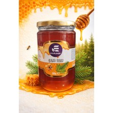 Eylülzade  Doğal Çam Balı (800 Gram)