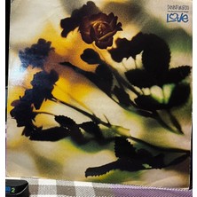 Plakantik Danny Wilson – The Second Summer Of Love (Vinyl, 12", Maxi-Single)