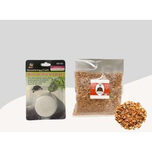 Storemax Toptassell Kaplumbağalar Için Gammarus 20GR + Mineral Blok Large Yuvarlak