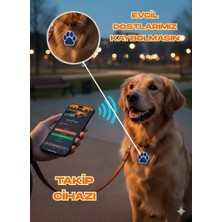 Kedi &amp; Köpek Akıllı Takip Cihazı