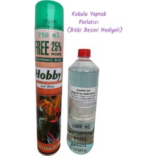 Çiçekler Için Hobby Kokulu Yaprak Parlatıcı 750 ml + 1 Lt Konsantre Bitki Besini Hediyeli