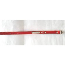 Eastland Minizoo Köpek Boyun Tasması Isimlikli No 2 Kırmızı