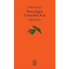 Colezium Yanardağın Üstündeki Kuş
