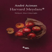 Colezium Harvard Meydanı