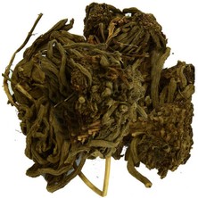 Colezium Kediotu Kökü Doğal 100 gr Paket