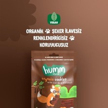 NW NessiWorld Organik Keçiboynuzlu ve Fındıklı Vegan Kurabiye 55 gr