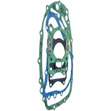 Tvs Apache 150 Uyumlu Conta Takımı Erpilsan Elektronik