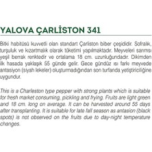 Tarım Ata Tohumu Sivri Biber Yalova Çarliston 100 Adet Tohum