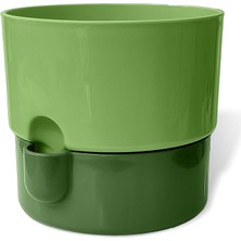 Dora Saksı Tabaklı Çiçek Kaktüs Saksısı Parlak Plastik Saksı (Yeşil, 2 Litre)