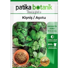 Botanik 500 Adet Yerli Ata Kişniş Tohumu (Aşotu)