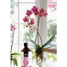Orkide Organik Içerikli Bitki Besini 500 ml Sıvı Gübre