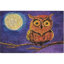 Tasarımlı Dekoratif Kapı Önü Paspas, Dış Mekan/ev Içi/banyo/mutfak/yatak Odası/giriş Paspasları (Gece Baykuş, 45X70)