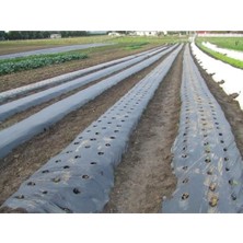 Sebze Naylonu 10 Metre Eni 120 cm Malç Naylonu Sebze Örtüsü Malç Örtüsü Siyah Domates Karpuz Naylonu