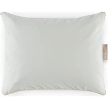 Pamuk Penye Sıvı Geçirmez Yastık Alezi 35 x 45 (2'li Pa Ket), Çok Renkli, Std