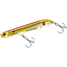 3b Kıyı Yapay Balık Yemi