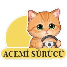 Tasarla Acemi Sürücü Sevimli Kedi Araba Etiketi & Sticker Çok Renkli