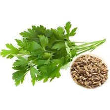 Iri Yaprak (Çoklu Tohum) - 10 Gram