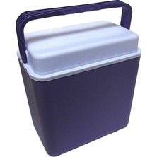 Icepeak 300083 Buzluk, 26 Lt, Asorti