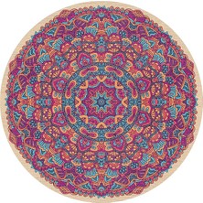 Kadife Kaymaz Pamuk Tabanlı Yıkanabilir Antibakteriyel Yuvarlak Salon Halısı 120X120