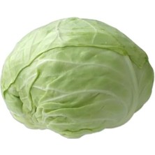 Beyaz (Çoklu Tohum) - 5 Gram