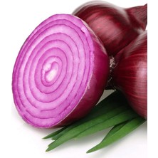 Garden Doğal Ithal Mor Soğan Tohumu 100 Ad. Tohum