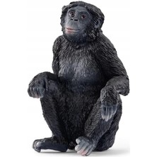 Bonobo, Oyuncak Figür